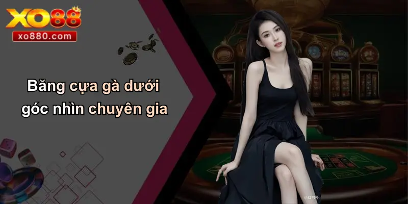 Băng cựa gà dưới góc nhìn chuyên gia
