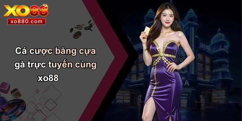 Cá cược băng cựa gà trực tuyến cùng xo88