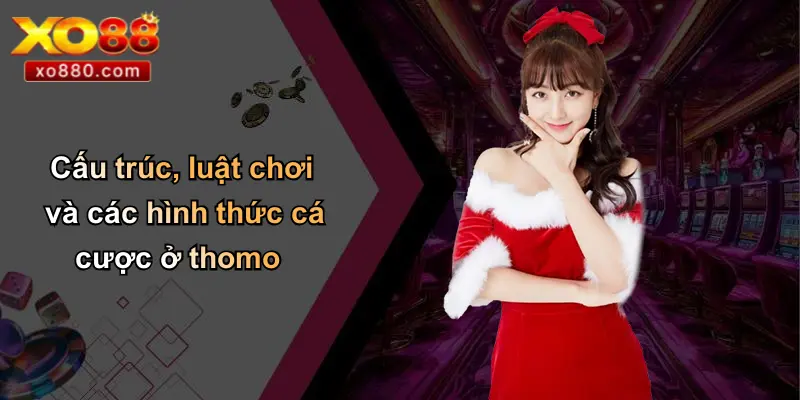 Thomo Là Gì: Khám Phá Sân Đấu Gà Đỉnh Cao Và Cá Cược XO88 3 Cấu trúc, luật chơi và các hình thức cá cược ở thomo