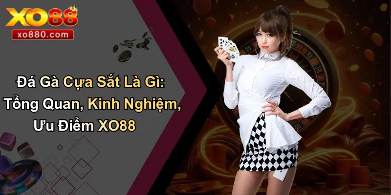 Đá Gà Cựa Sắt Là Gì: Tổng Quan, Kinh Nghiệm, Ưu Điểm XO88 1 Đá Gà Cựa Sắt Là Gì