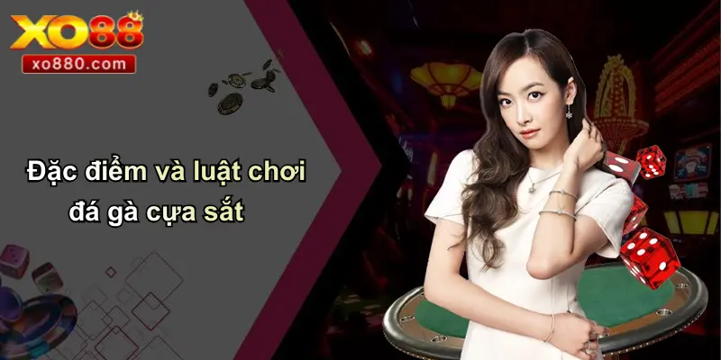 Đá Gà Cựa Sắt Là Gì: Tổng Quan, Kinh Nghiệm, Ưu Điểm XO88 2 Đặc điểm và luật chơi đá gà cựa sắt