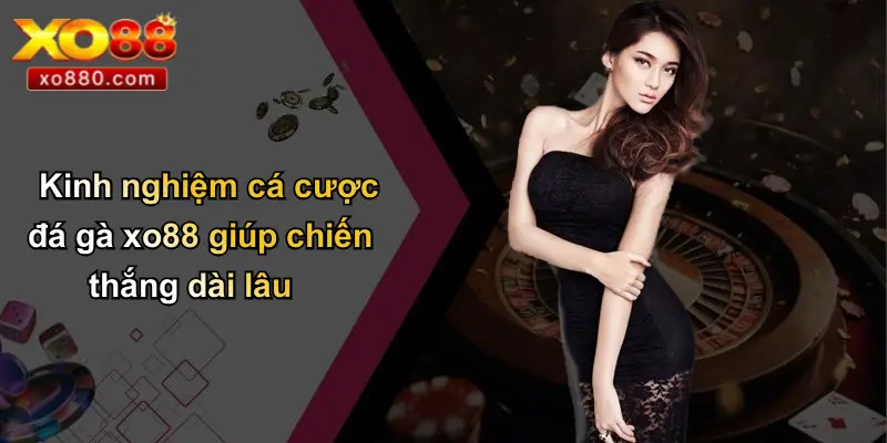 ĐÁ GÀ XO88 4 Kinh nghiệm cá cược đá gà xo88 giúp chiến thắng dài lâu