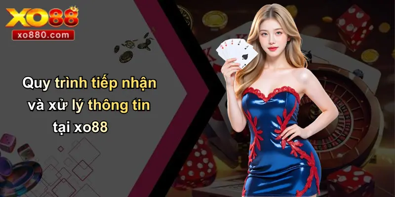 Quy trình tiếp nhận và xử lý thông tin tại xo88