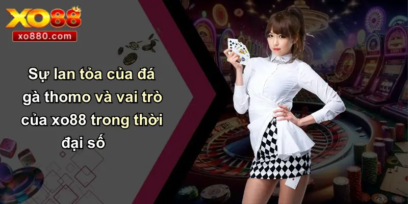 Thomo Là Gì: Khám Phá Sân Đấu Gà Đỉnh Cao Và Cá Cược XO88 4 Sự lan tỏa của đá gà thomo và vai trò của xo88 trong thời đại số