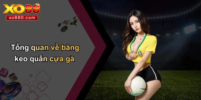 Băng Keo Quấn Cựa Gà: Bí Quyết Chiến Thắng Được Tiết Lộ Từ XO88 2 Tổng quan về băng keo quấn cựa gà