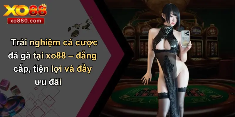 ĐÁ GÀ XO88 2 Trải nghiệm cá cược đá gà tại xo88 – đẳng cấp, tiện lợi và đầy ưu đãi