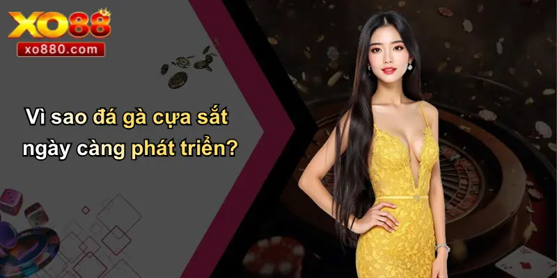Đá Gà Cựa Sắt Là Gì: Tổng Quan, Kinh Nghiệm, Ưu Điểm XO88 3 Vì sao đá gà cựa sắt ngày càng phát triển?